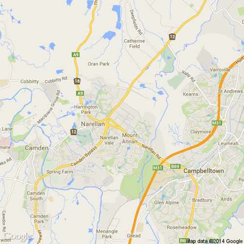 Professionals Narellan & District location