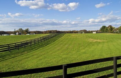 Image of a bare block of land