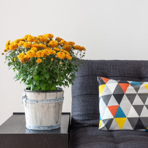 Image of a couch with cushion and flowers on side table