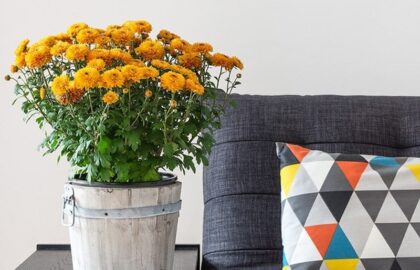 Image of a couch with cushion and flowers on side table