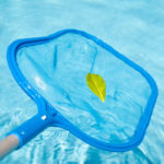 A clean pool sells the dream, a dirty pool signals maintenance.
