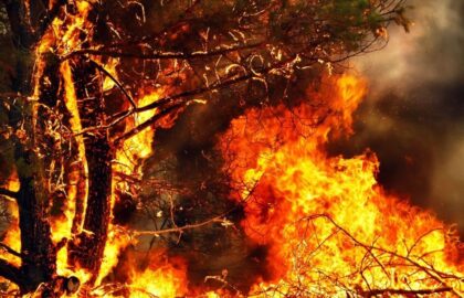 Is your home prepared for a bushfire?