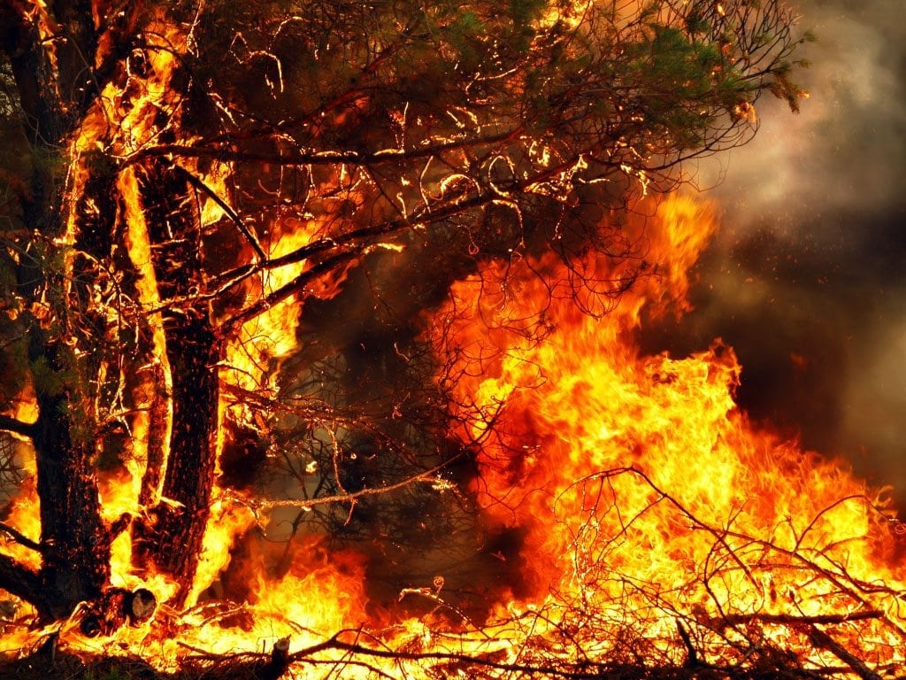 Is your home prepared for a bushfire?