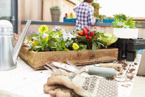 An image of a planter box and gardening tools
