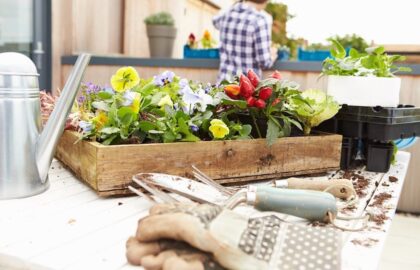 An image of a planter box and gardening tools