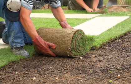 Image of lawn being laid